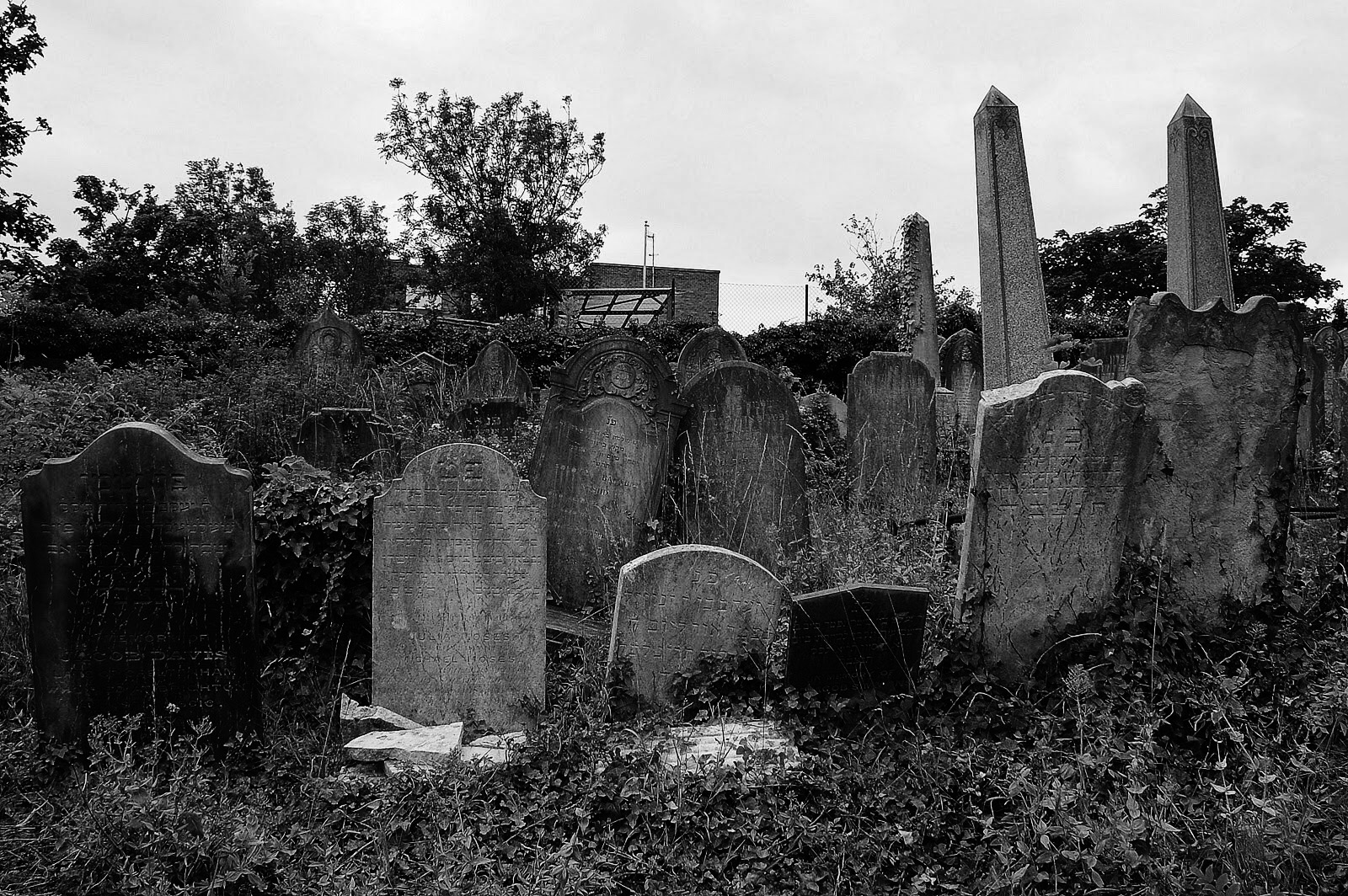 SUSSEX JEWISH RECORDS