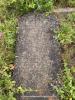 Florence Place Cemetery_grave photo_14.jpg