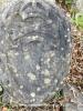 ISAACS, Clifford gravestone ISAACS, Clifford gravestone