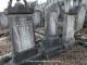 COHEN LEVY JEWELL plot