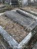 JOSEPH, Moss and Rachel plot