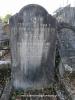 LION, Mayer Alexander gravestone